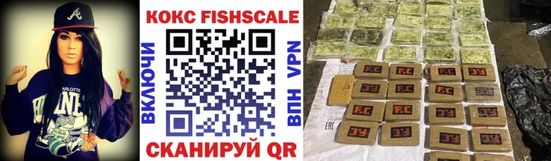 Купить закладки  Вышний Волочёк  COCAIN 97% 